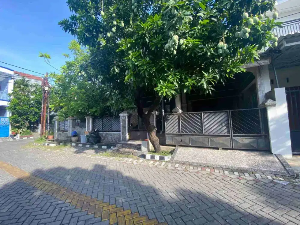2lantai dkt kampus pandugo sby butuh uang
