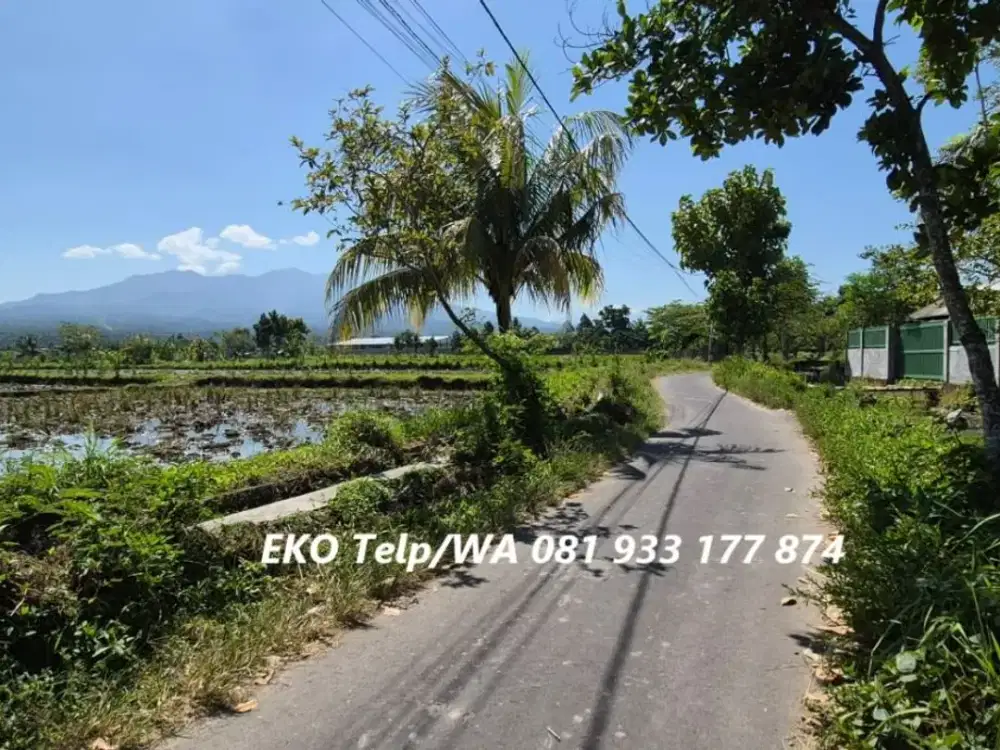 Dijual Tanah Pinggir Jalan di Lingsar Lombok Barat