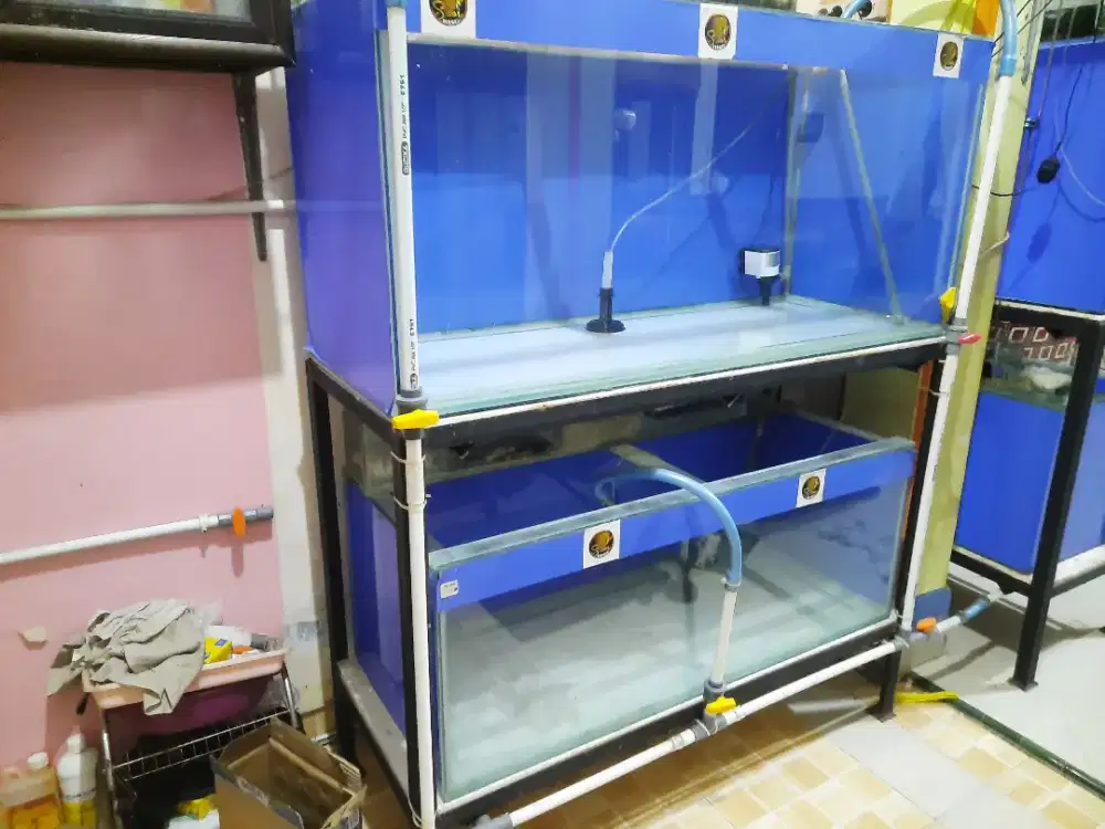 Aquarium Besar dan rak besi