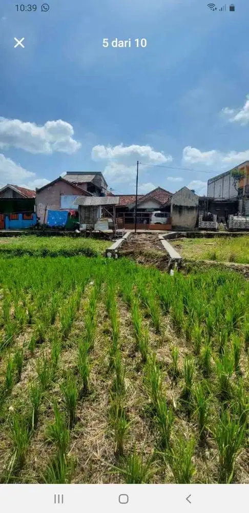 Jual Murah Tanah 89 Tumbak Di Cihampelas Kab Bandung Barat