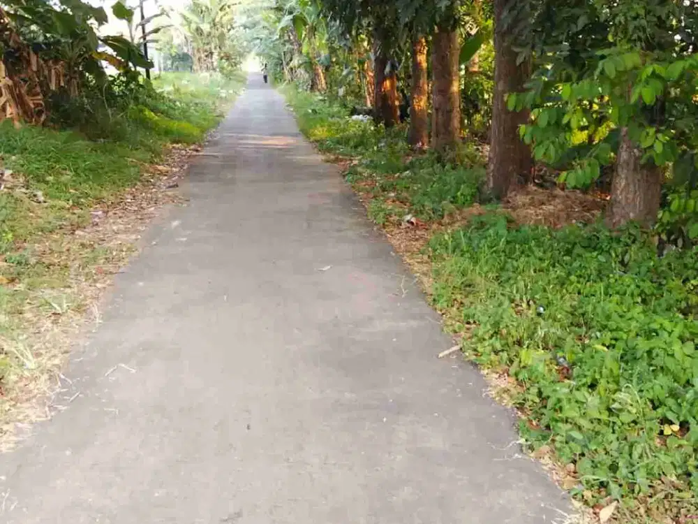 Dijual Tanah di Warukawung Depok - Kab Cirebon