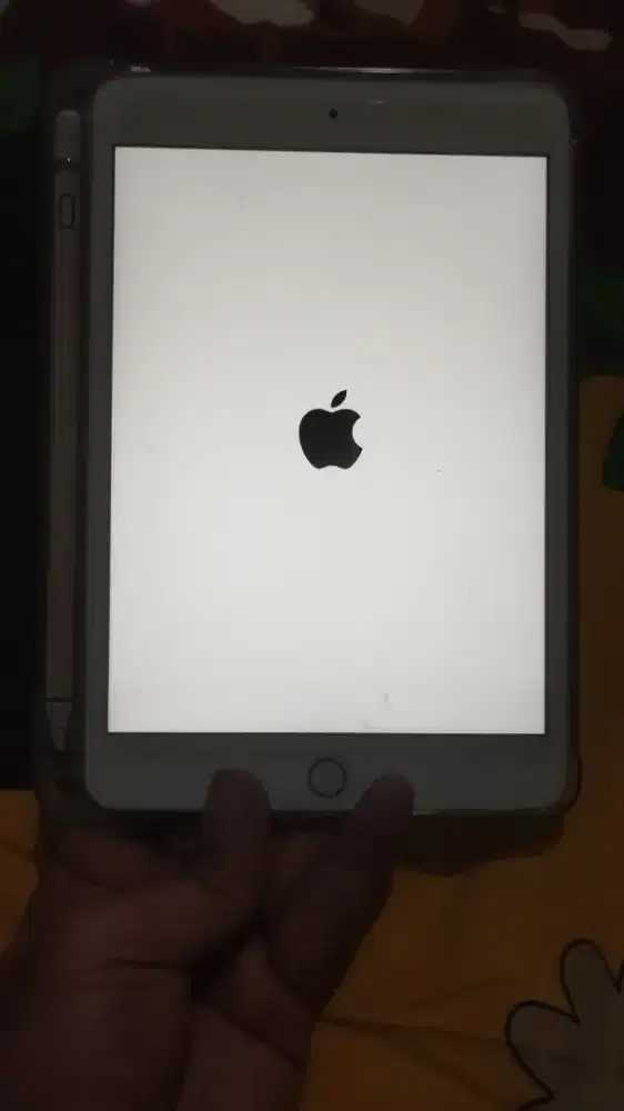 IPAD MINI 4 WIFI. ONLY