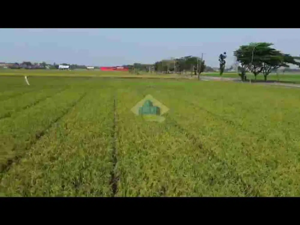 *DIJUAL* Tanah di jl raya Tonjong - Terate
Banten Lama - Kramatwatu, Serang