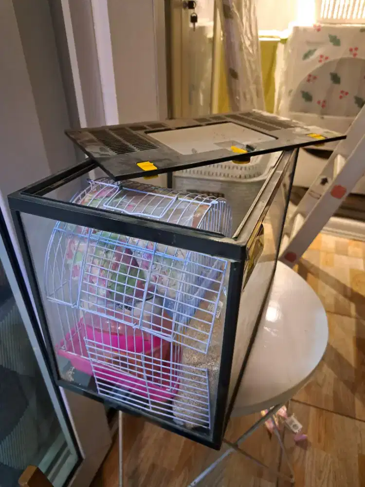 Aquarium dan kandang Hamster