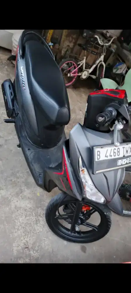 VARIO AGNES 2018