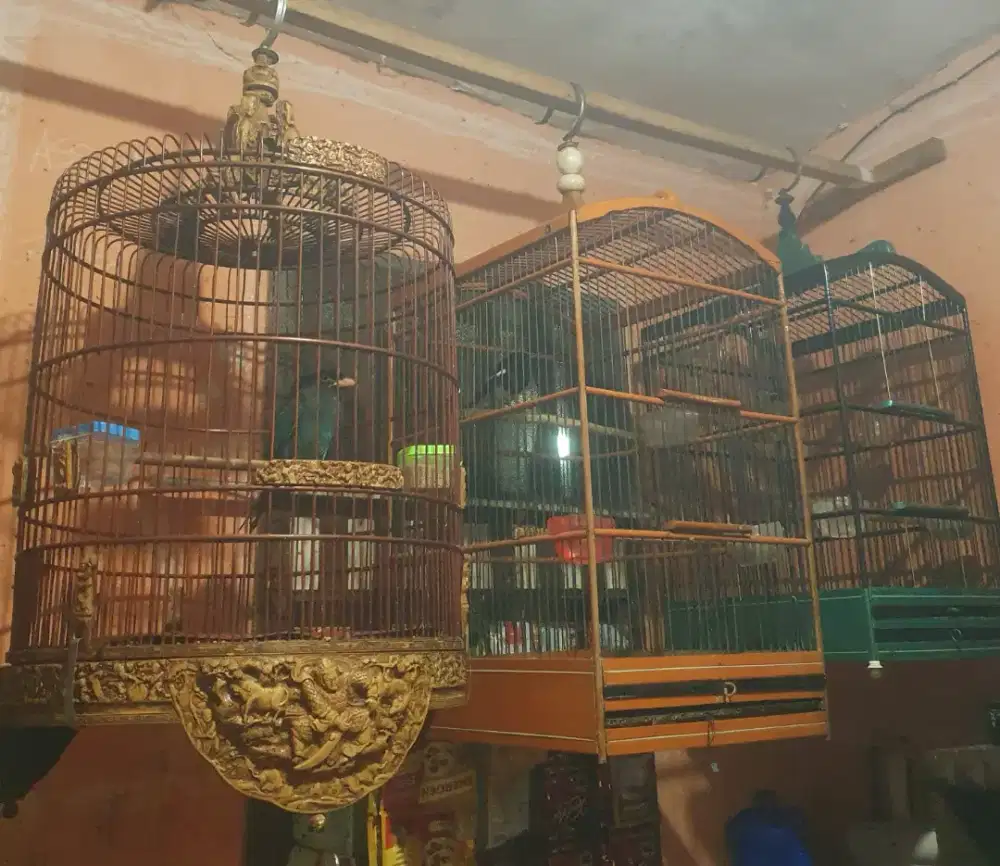 KANDANG/SANGKAR BURUNG BERBAGAI MODEL BISA KIRIM KESELURUH INDONESIA