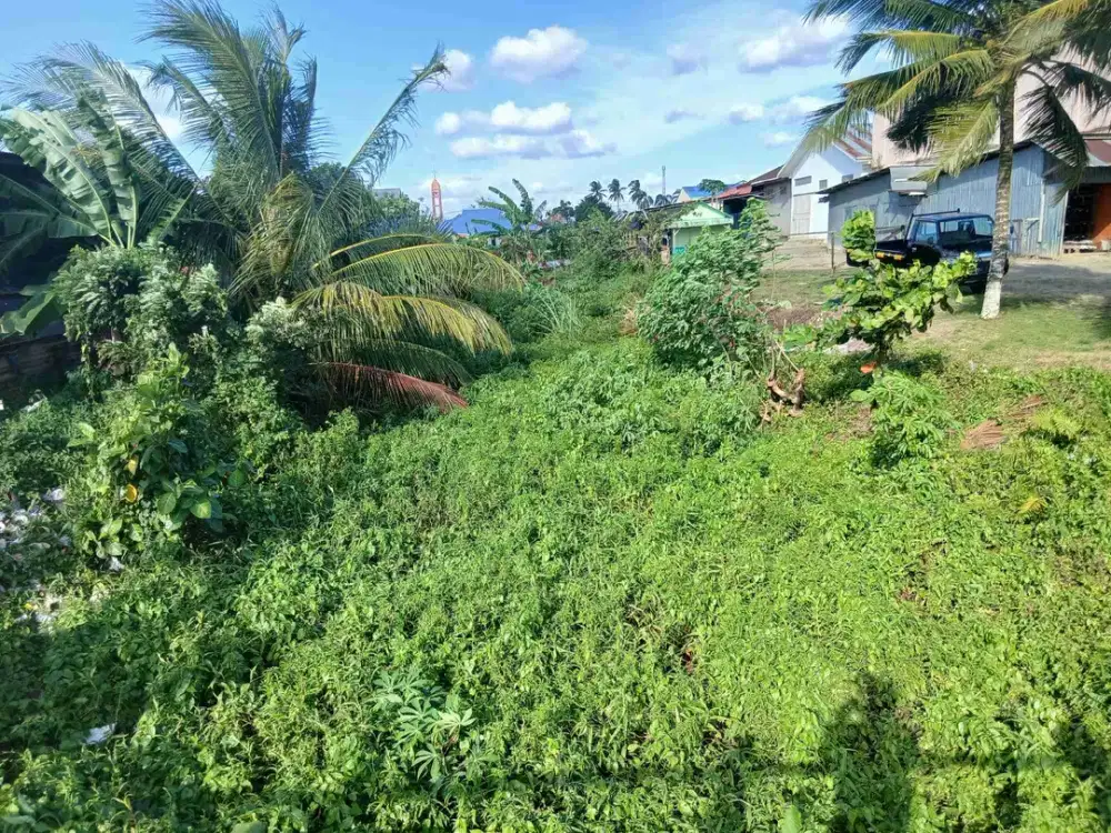 Jual Tanah di Kab.Sorong Aimas Unit 2 Jln.Wortel