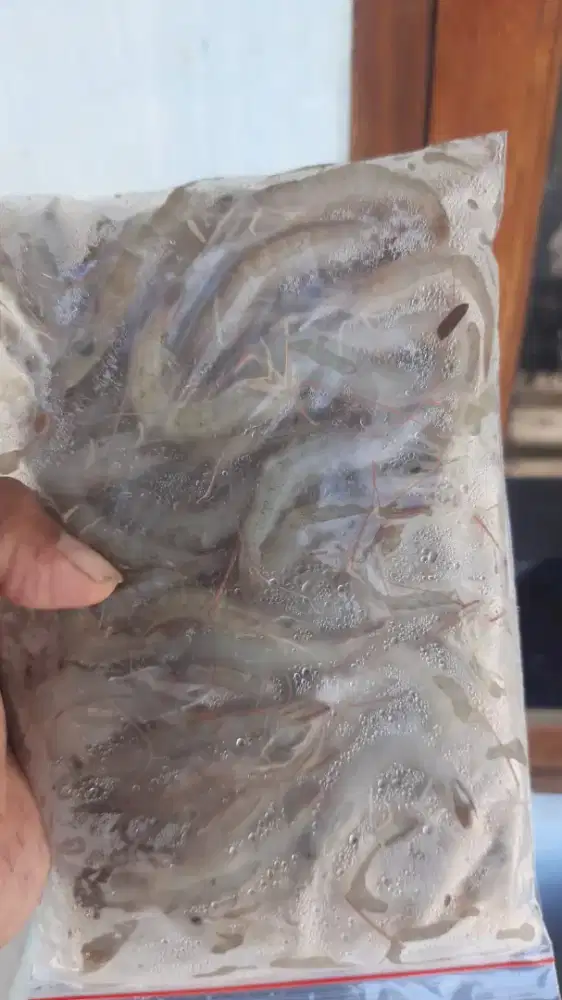 Udang api beku size M