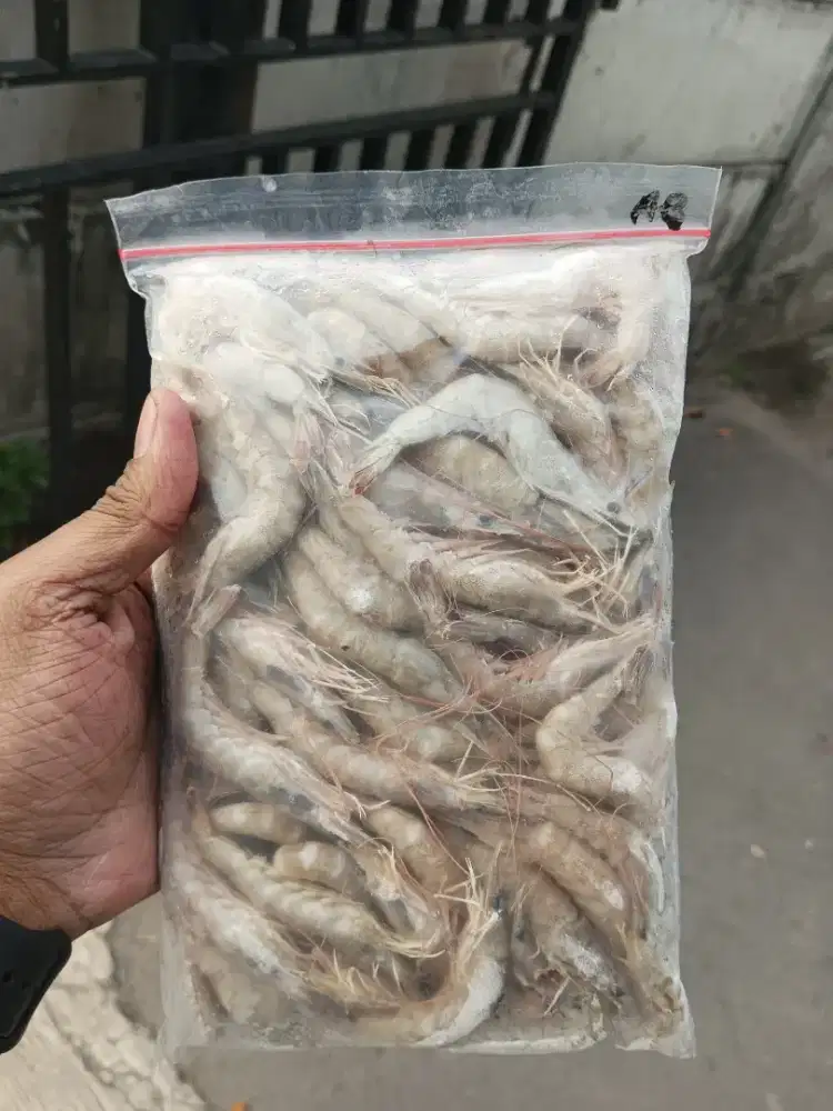 Udang api beku size L / Besar