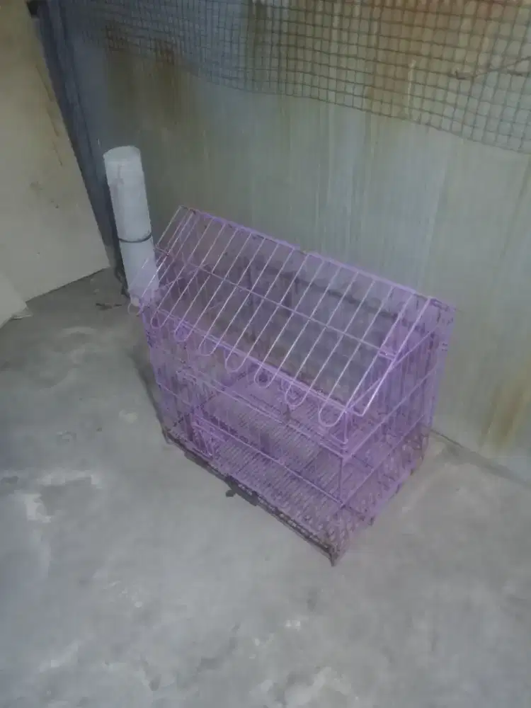 Kandang kucing octagon