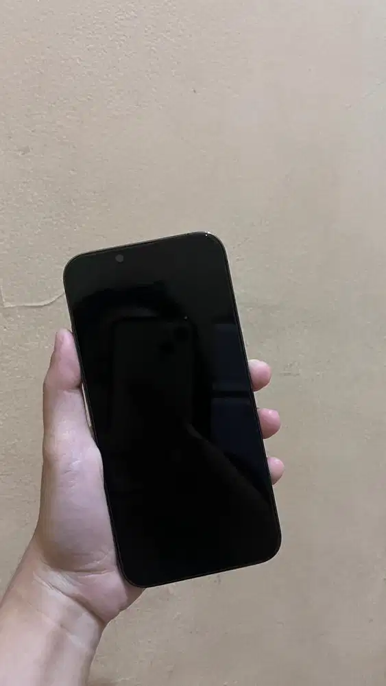 iphone 13 pro inter