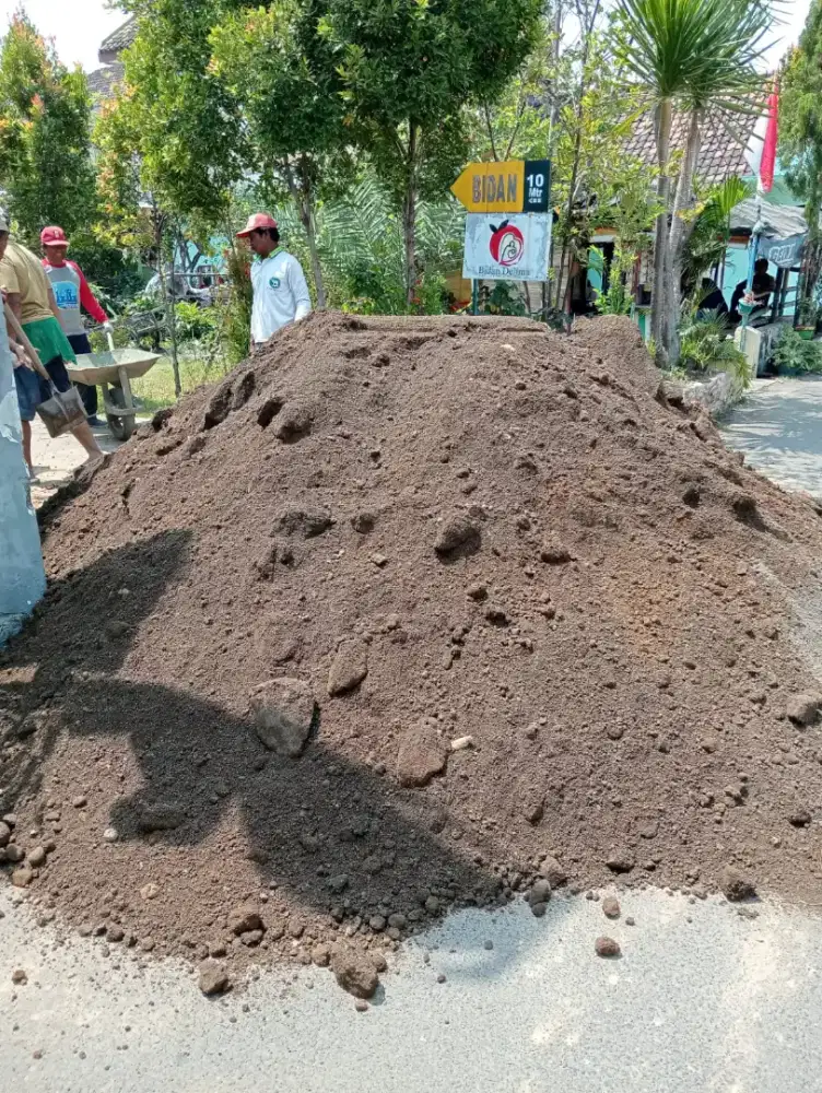 Sirtu Urug kualitas terbaik free ongkir