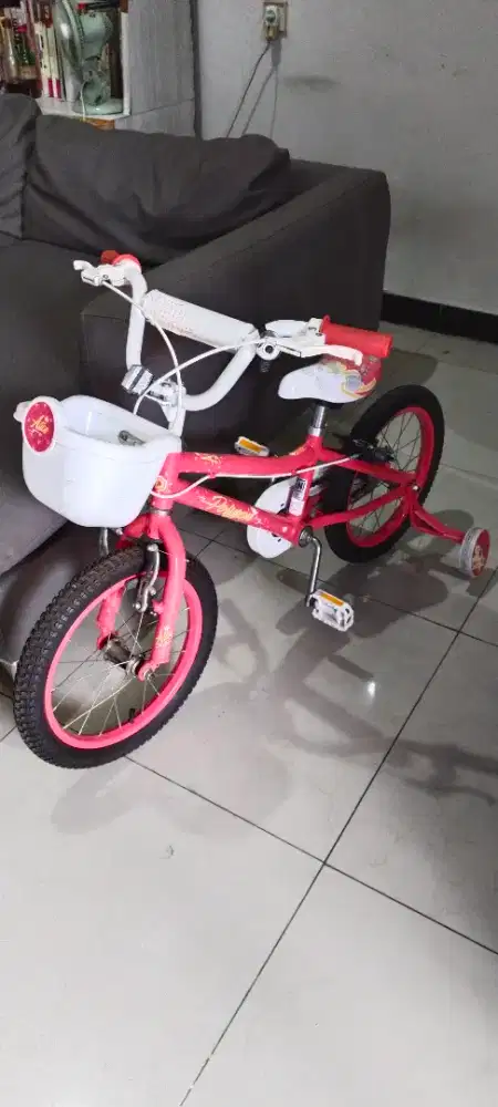 Sepeda anak polygon asli