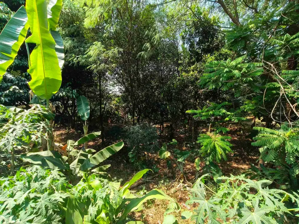 CINERE LAHAN KOSONG UNTUK INVESTASI RESIDENSIL