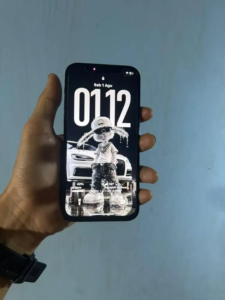 iPhone 12pro (256GB)