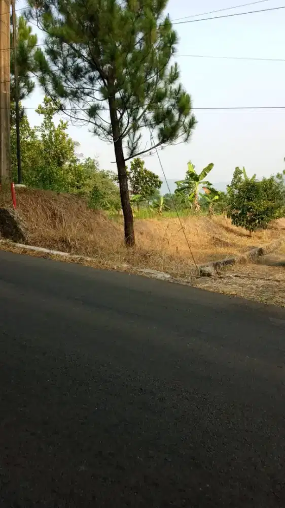 Di jual lahan strategis pinggir jln raya kabupaten 1.3 hektar