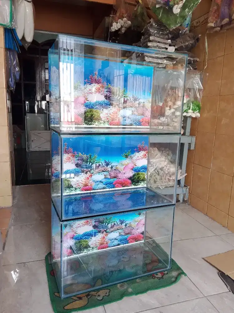 Aquarium ikan hias 50*25*30 baru