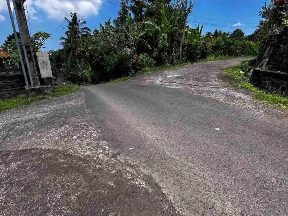jual tanah kebun produktif aneka buah lokal harga terbaik fi selemadeg barat tabanan bali.