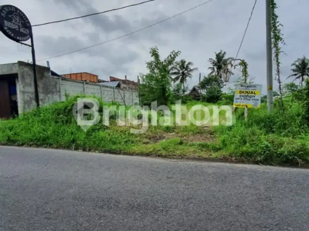 FYP TANAH MURAH DEKAT LEMPONG SARI JALAN DAMAI JALAN UMBUL PERMAI SLEMAN DAERAH ISTIMEWA YOGYAKARTA