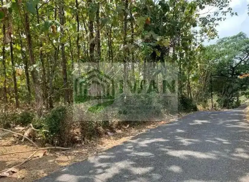 Tanah Pekarangan Luas & Murah Dekat Mata Air Ada View Sawahnya