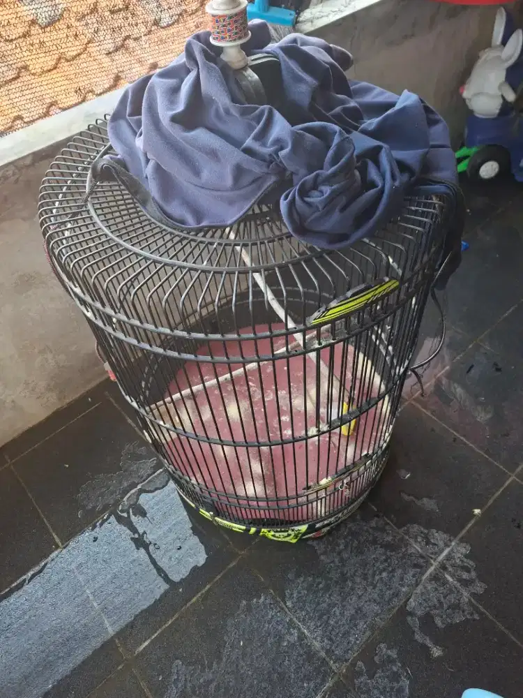 Kandang Burung Bekas
