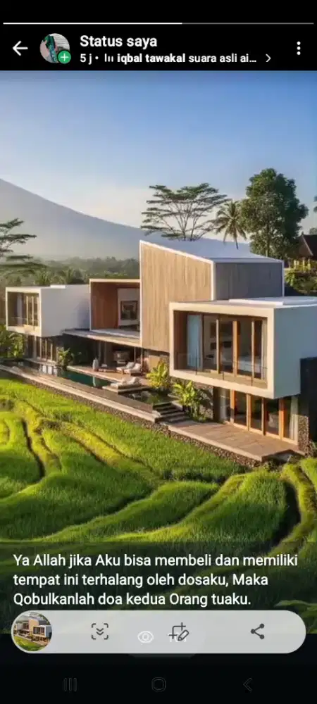 Dicari petani padi yg sudah pengalaman