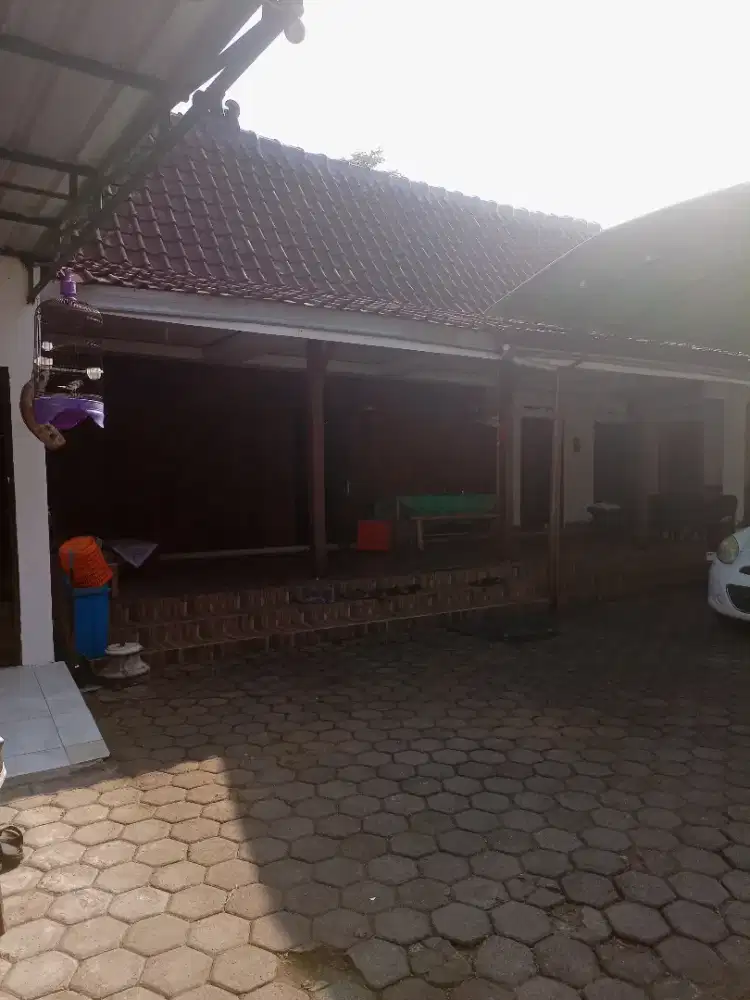 Rumah Pimpinan Prshan Distributor Yogya Butuh Tenaga  Srabutan Laki