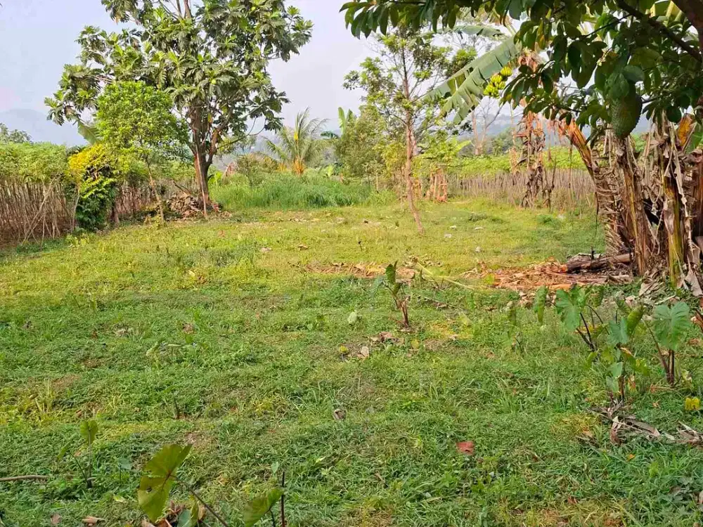 Di jual tanah darat Dekat summarecon bogor.sangat cocok untuk villa dan investasi masa depan.