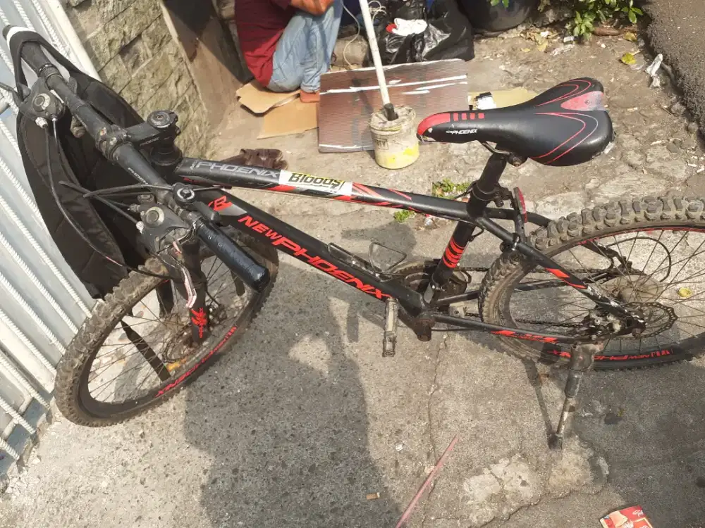 NEEPHOENIX mtb size 24