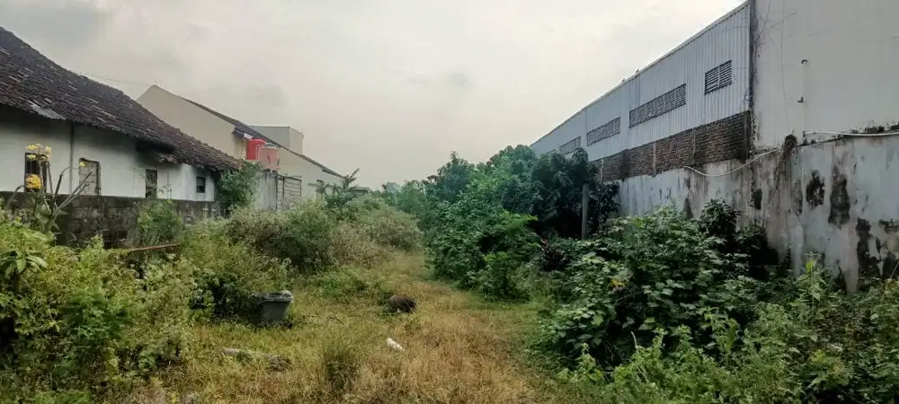 Dijual /disewakan tanah sawah kering