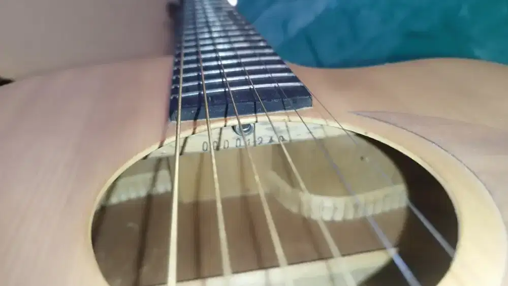 Lesley guitar RM 20-CW + pream fishman original Akustik Elektrik