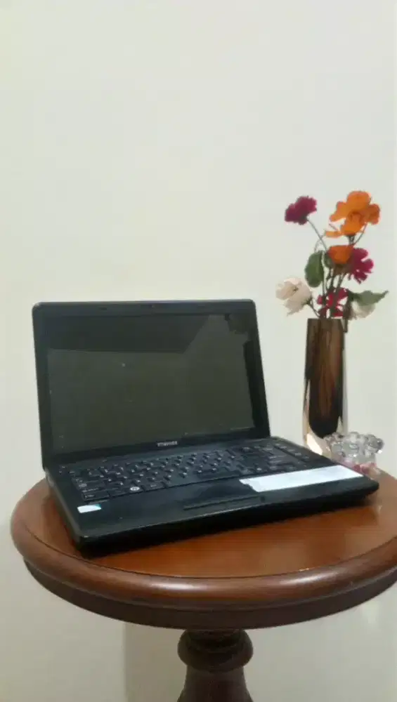 Laptop Toshiba bagus tapi murah