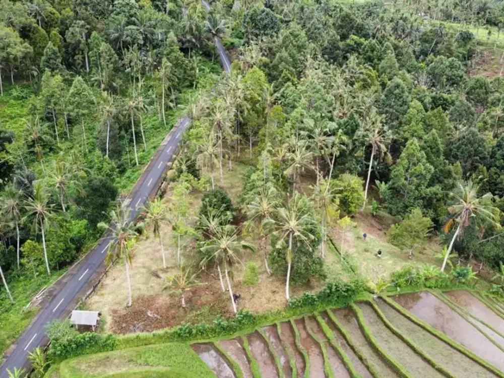 Tanah Gunung Salak Tabanan Bali