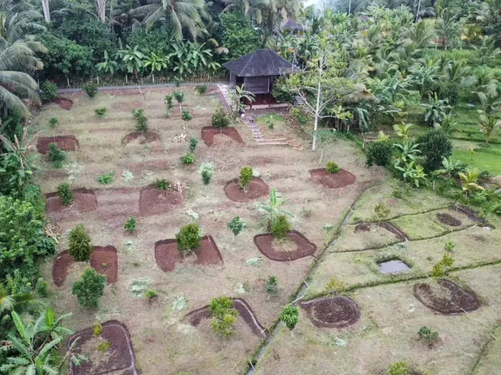Tanah Desa Wisata Megati Sesandan Tabanan Bali
