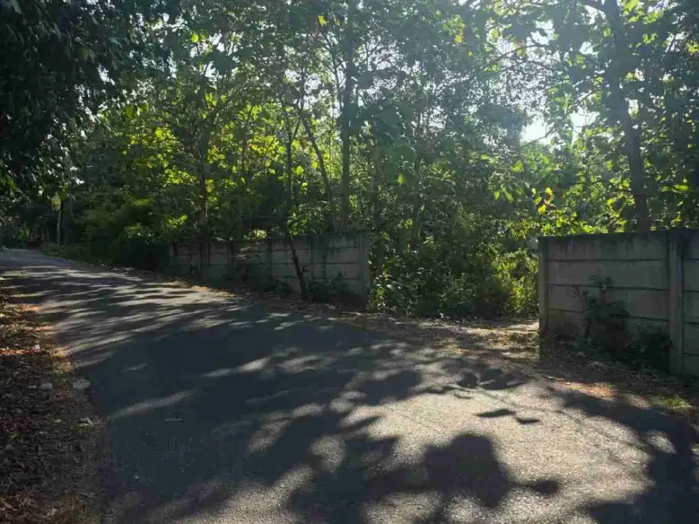 Tanah ungasan jimbaran