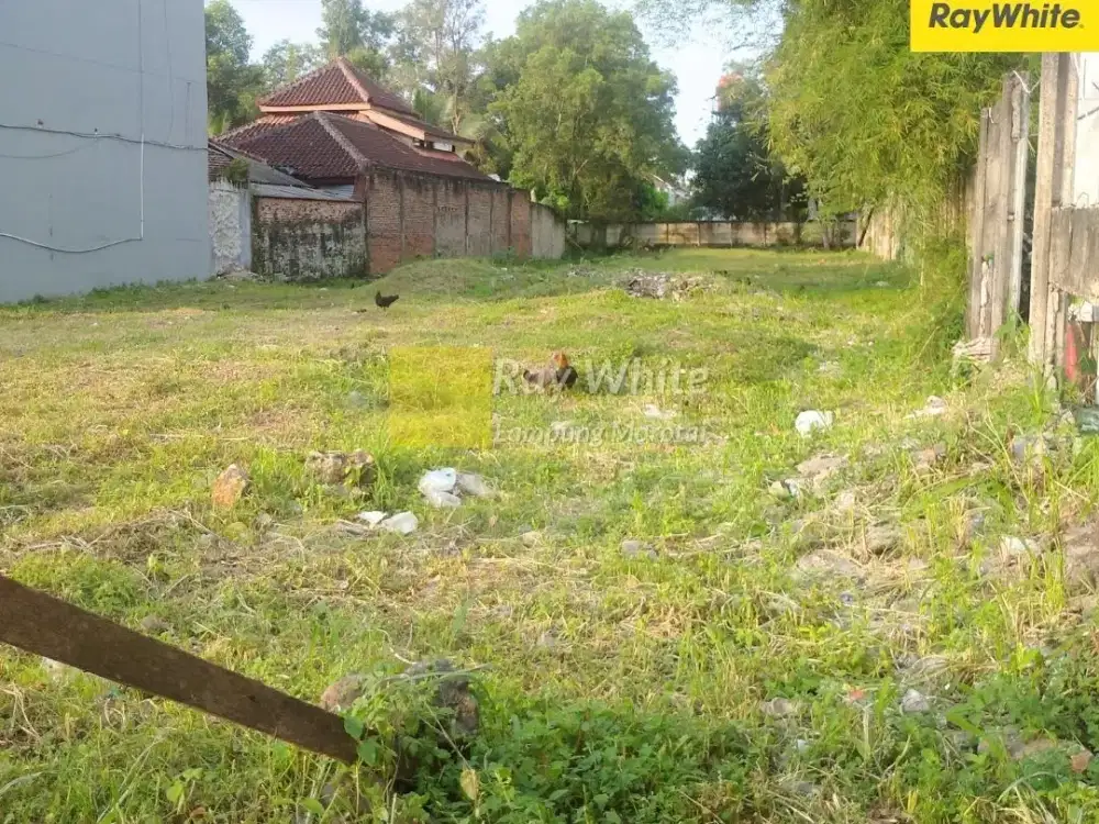 Dijual Tanah Di Natar, Lampung Selatan (Kode : HEN 3692)