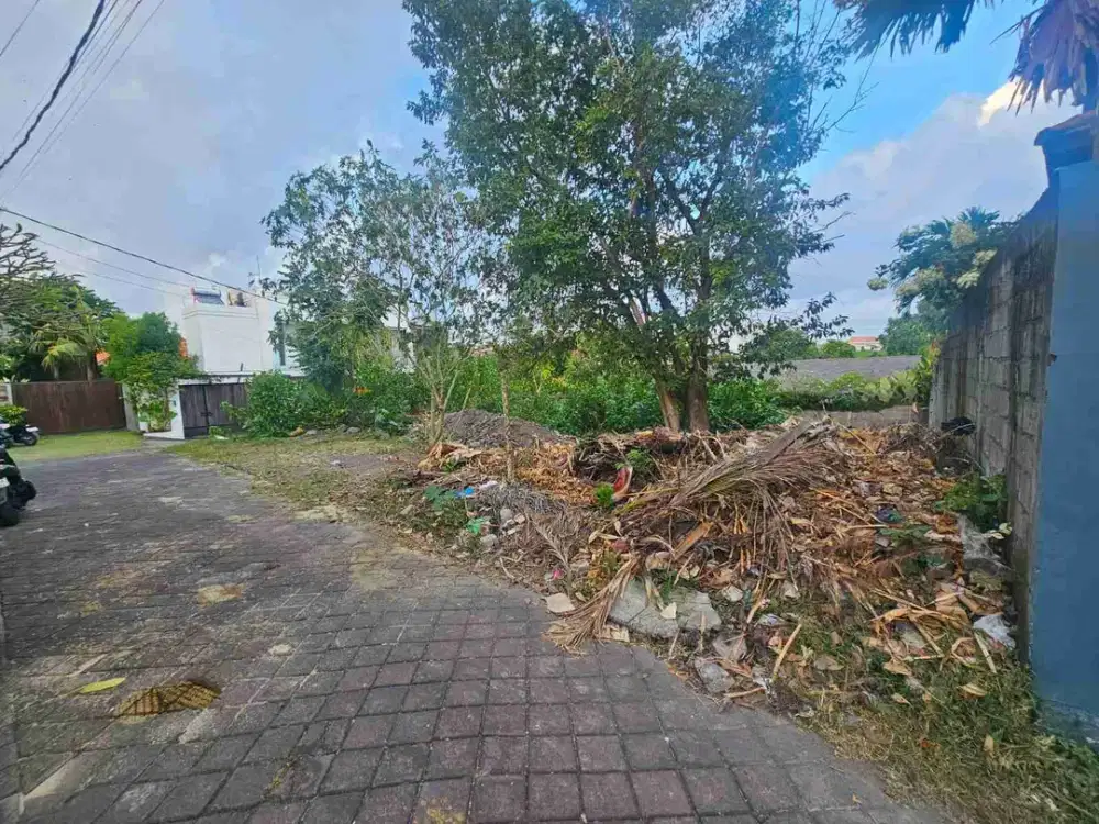 Tanah pererenan canggu