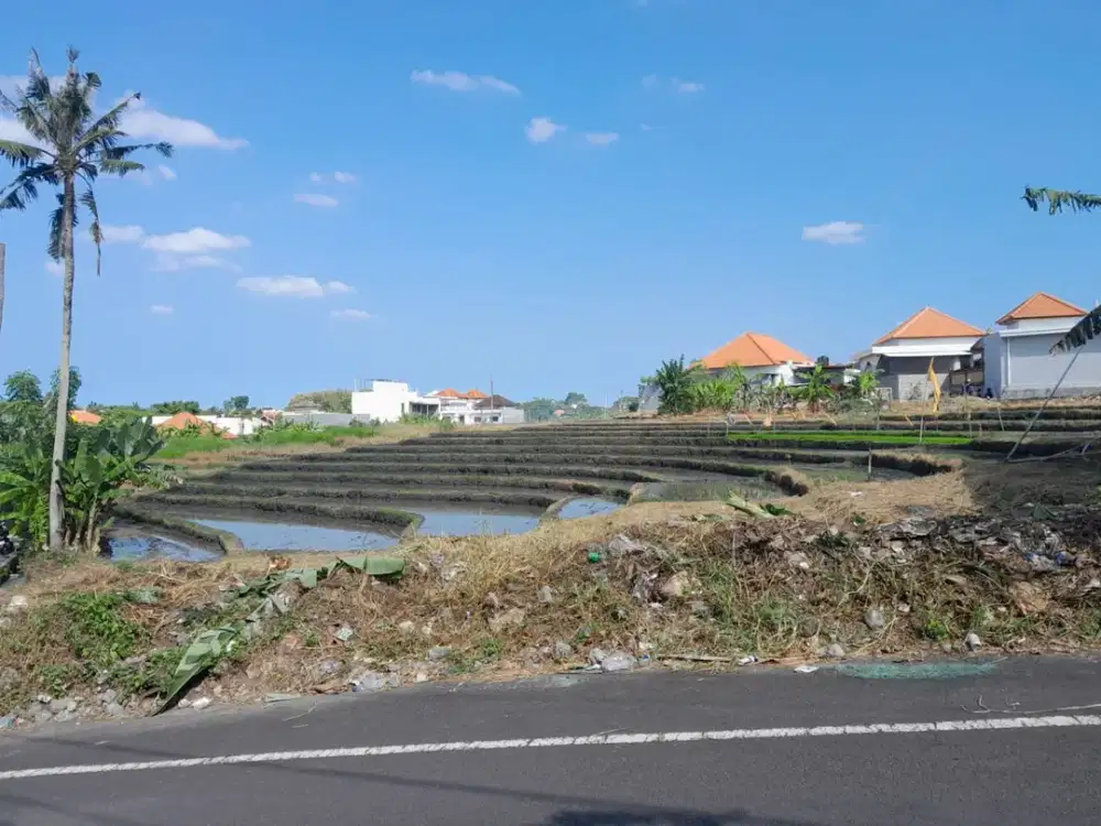 Tanah View Sawah Kayu Tulang Utara Canggu Bali
