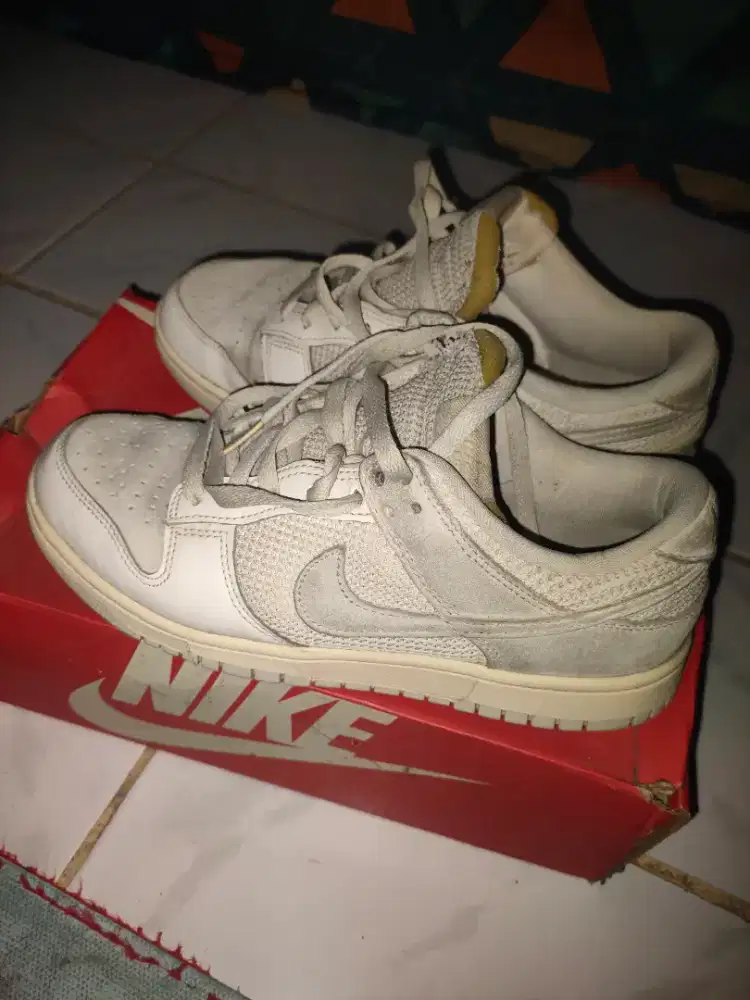 Nike dunk low for men shoes