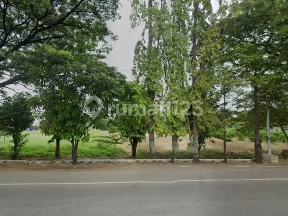 Tanah Murah di Daerah Slawi Dekat RS DR Soesilo