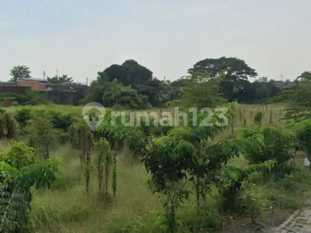 Tanah Kav di Daerah Mejasem