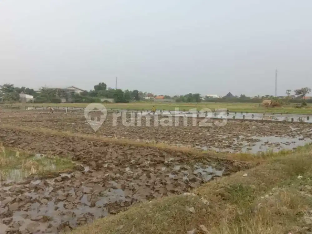 Tanah Cocok Untuk Perumahan