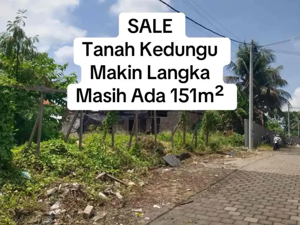 FOR SALE – Tanah Langka Area Kedungu, Potensi Tinggi Dekat Pantai & Lingkungan Villa Premium