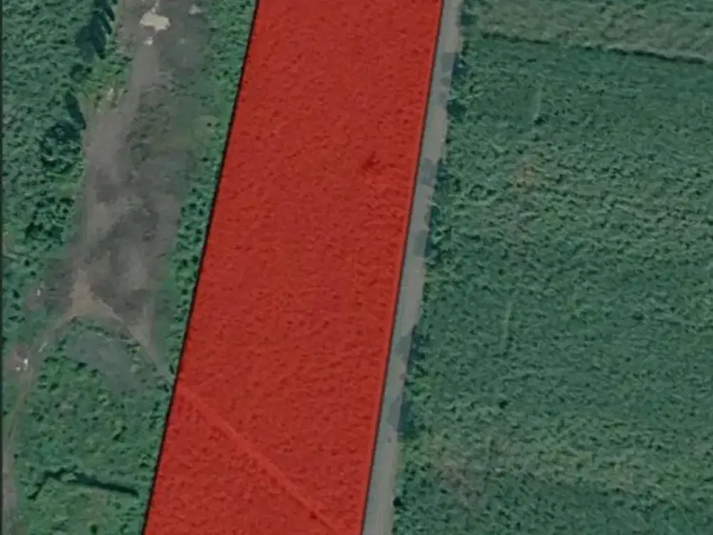 Dijual Lahan Lengkong Mojokerto
