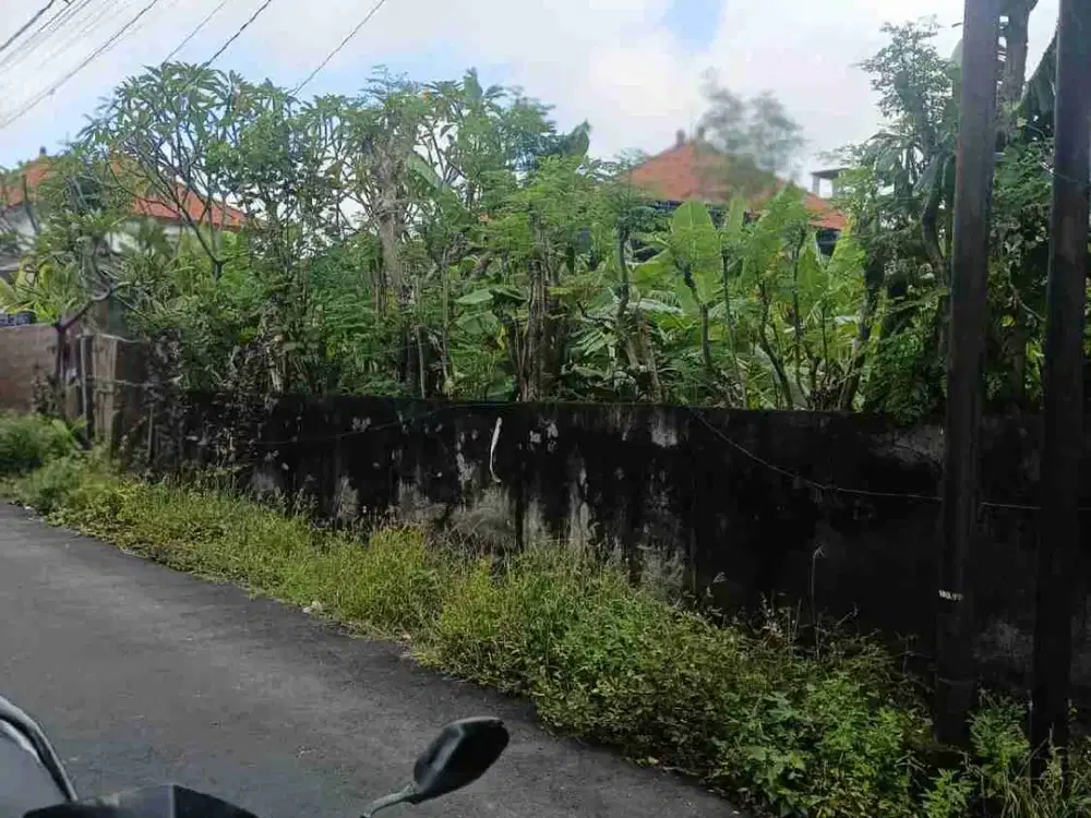 di jual tanah dengan luas 4,83are di drupadi renon
