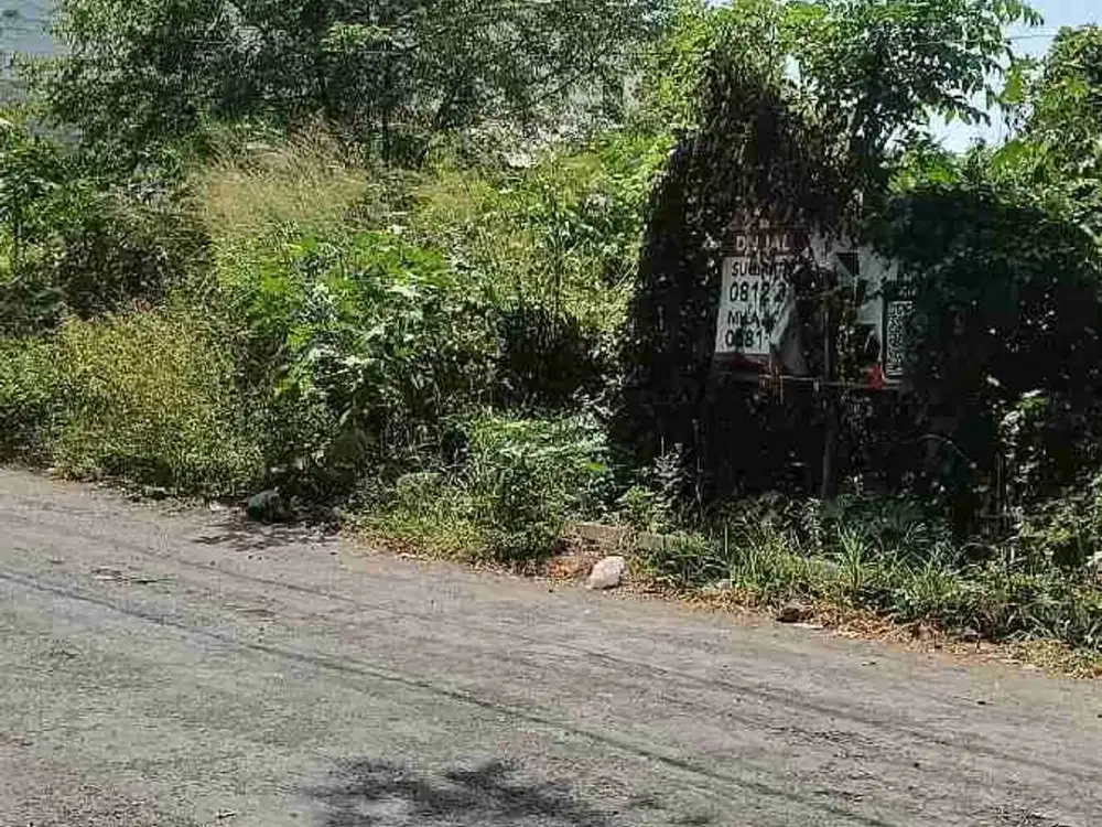 di jual tanah premium dengan luas 3,13are di badak agung renon