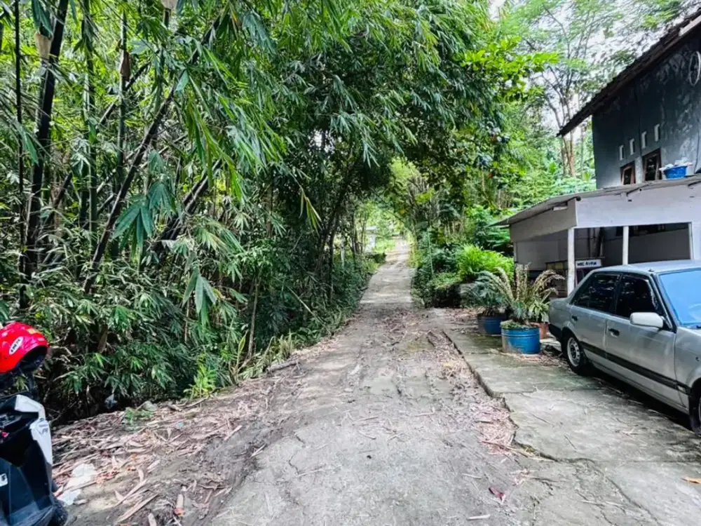 Rumah Lelang Bangunjiwo Turun Harga dari 600 Juta Jadi 295 Juta