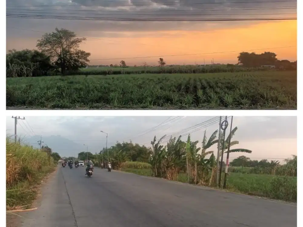 Dijual Lahan Lengkong Mojokerto