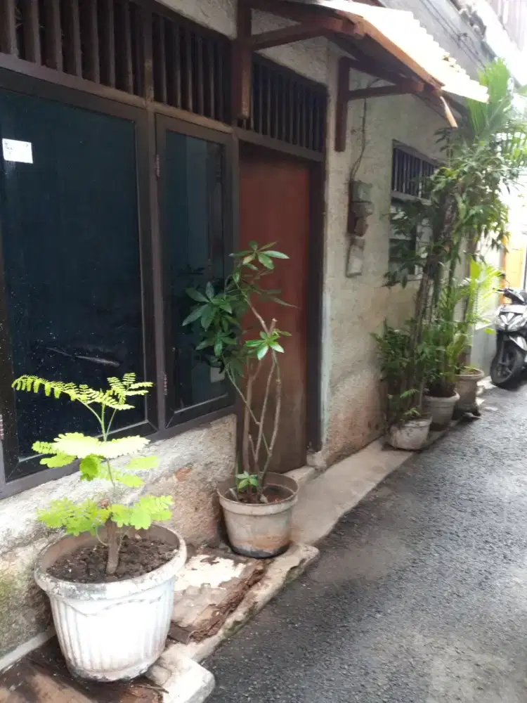 Dijual rumah tua SHM, kondisi: perlu perbaikan.