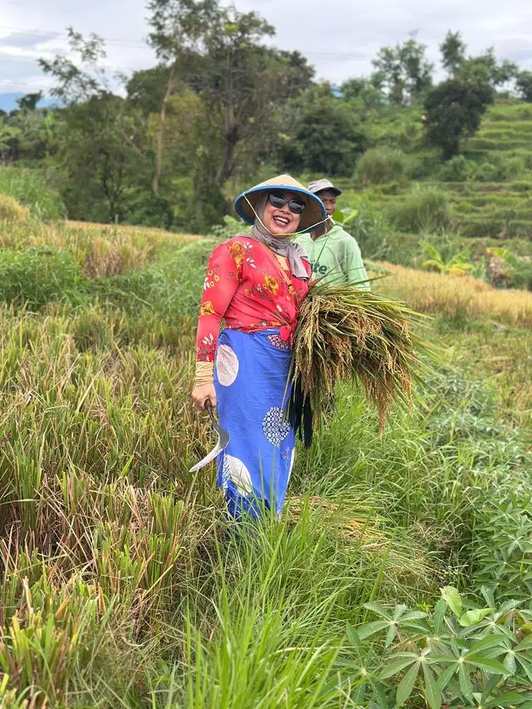 Jual sawah aktif dekat sungai